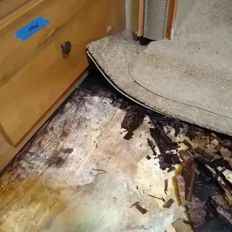 Wood Floor Water Damage in La Grange, IL